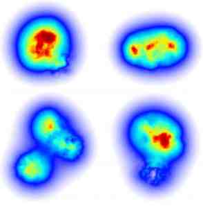 Scientists-model-the-flicker-of-gluons-in-subatomic-smashups-.jpg